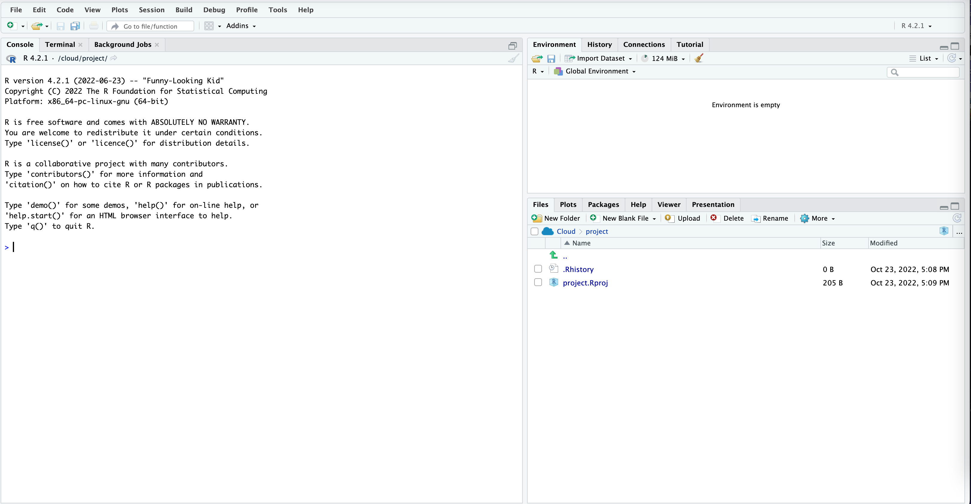 RStudio 编辑器的基本界面